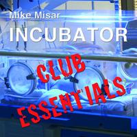 Mike Misar - Incubator Club Essentials