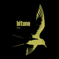 bitune - Stay