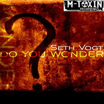 Seth Vogt - Do You Wonder