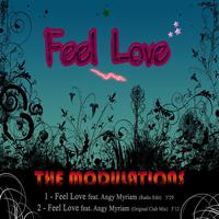 The Modulations - Feel Love