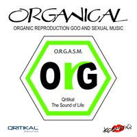 Kosmetiq - Organical EP