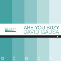 David Gausa - Are You Buzy