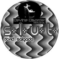 David Salgado - S.L.U.T.