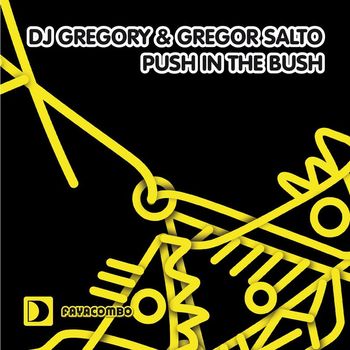 DJ Gregory & Gregor Salto - Push In The Bush