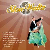 The Ray Hamilton Ballroom Orchestra - It Takes Two To Slow Waltz