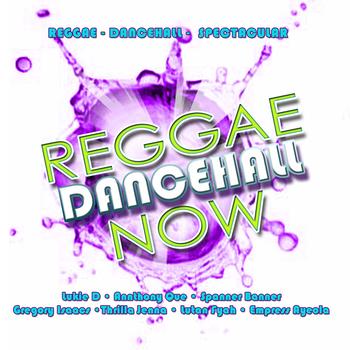 Various - Reggae Damcehall Now