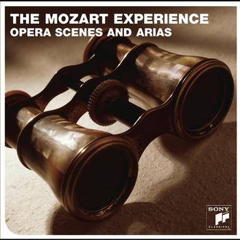 Nicolas McGegan - The Mozart Experience