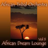 African Tribal Orchestra - African Dream Lounge, Volume 3