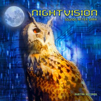 Various Artists - Nightvision