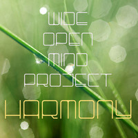 Wide Open Mind Project - Harmony