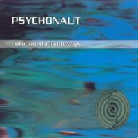 Psychonaut - Antagonistic Pathways