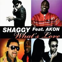 Shaggy featuring Akon - What's Love