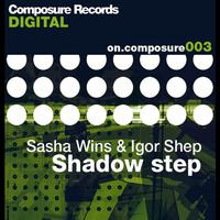 Sasha Wins, Igor Shep - Shadow Step