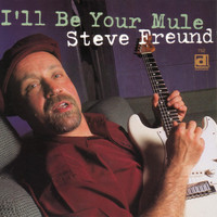 Steve Freund - I'll Be Your Mule