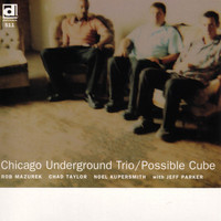 Chicago Underground Trio - Possible Cube