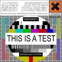Bass Junkies - This Is A Test