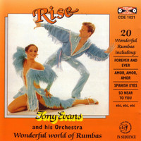 Tony Evans & His Orchestra - Rise 20 Wonderful Rumbas