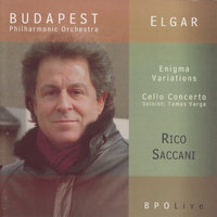 Rico Saccani - Enigma Variations, Op. 36: Enigma Variations: XII. B.G.N - Andante