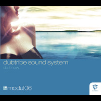 Dubtribe Sound System - Do It Now