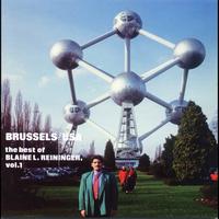 Blaine L. Reininger - Brussels/USA: The Best of Blaine L. Reininger, Vol. 1