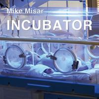 Mike Misar - Incubator
