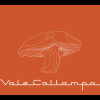 Café Tacvba - Vale Callampa