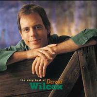 David Wilcox - The Very Best Of David Wilcox