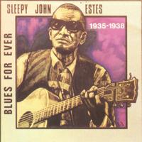 Sleepy John Estes - Sleepy John Estes 1935-1938