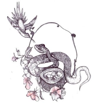 Hitch - Clair.Obscur