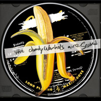 The Dandy Warhols - The Dandy Warhols Are Sound