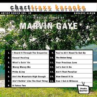 Charttraxx Karaoke - Artist Series Vol. 10 - Sing The Songs of Marvin Gaye