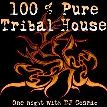 Various Artists - DJ Cosmic 100 Pure Tribal House