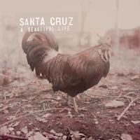 Santa Cruz - A beautiful life