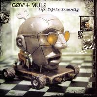 Gov't Mule - Life Before Insanity