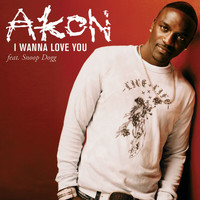 Akon - I Wanna Love You