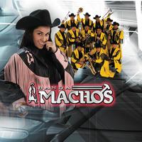 Banda Machos - El Próximo Tonto