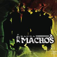 Banda Machos - El Sonidito (Ruidito)