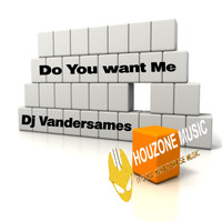 DJ Vandersames - Do You Want Me