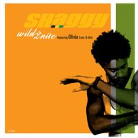 Shaggy - Wild 2nite