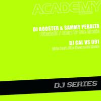 DJ Rooster & Sammy Peralta - Tribaloid / Jump To The Music