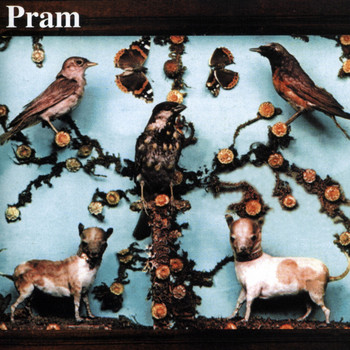 Pram - The Museum Of Imaginary Animals