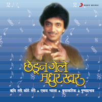 Ajit Kadkade - Chedun Gele Madhur Swar