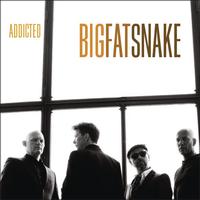 Big Fat Snake - Addicted