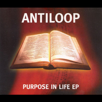 Antiloop - Purpose In Life