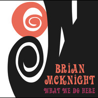 Brian McKnight - What We Do Here