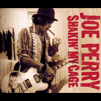 Joe Perry - Shakin' My Cage