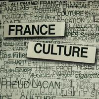 Arnaud Fleurent-Didier - France culture