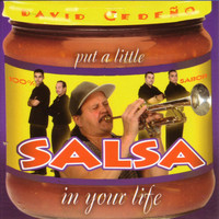 David Cedeño - Put a Little Salsa in Your Life