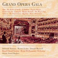 Owain Arwel Hughes - Grand Opera Gala