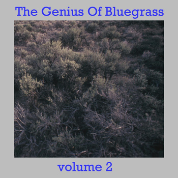 Various Artists - The Genius Of Bluegrass - Vol 2